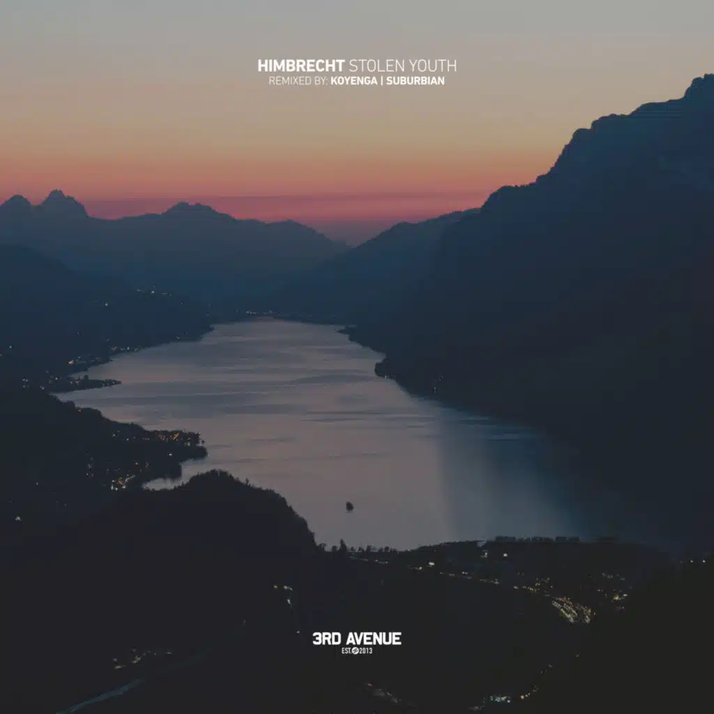 Stolen Youth (Koyenga Remix)