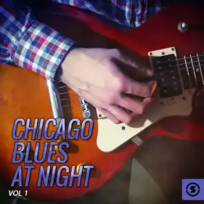 Chicago Blues at Night, Vol. 1