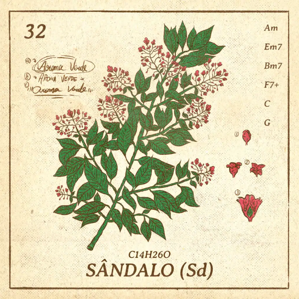 Aroma Verde