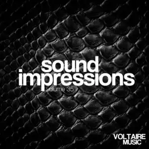 Sound Impressions, Vol. 35