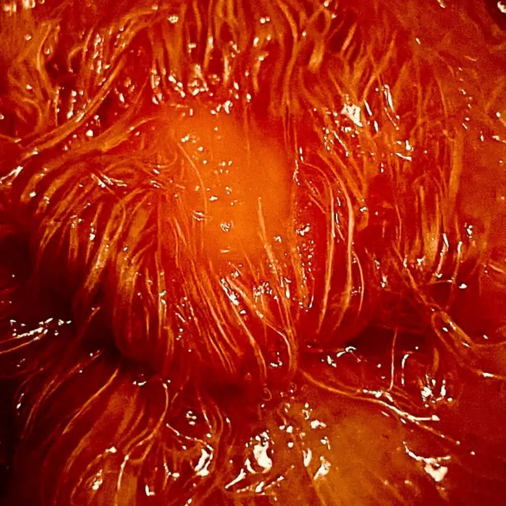 Oh Lord Almighty! (feat. Juan Silva)