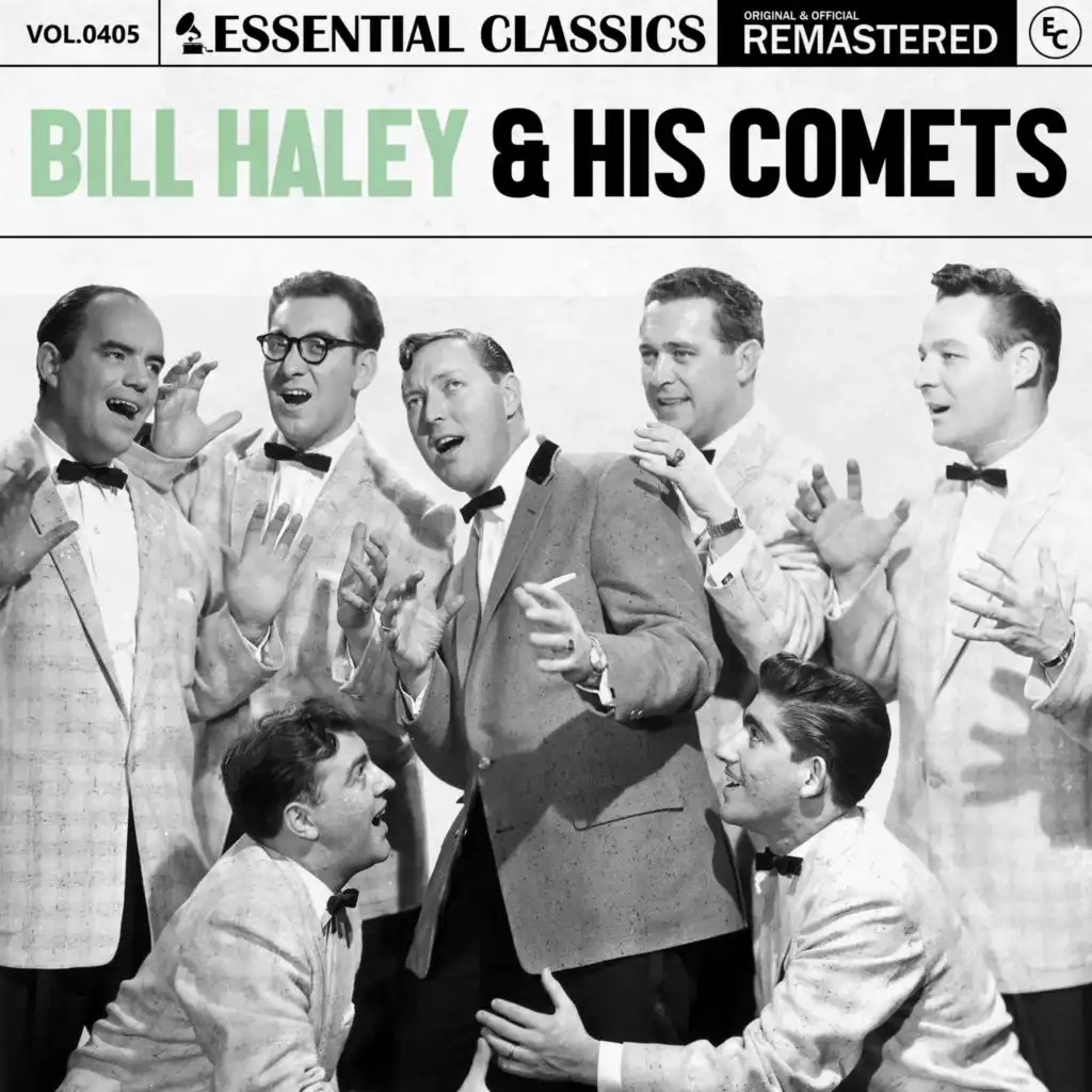 Bill Haley And His Comets