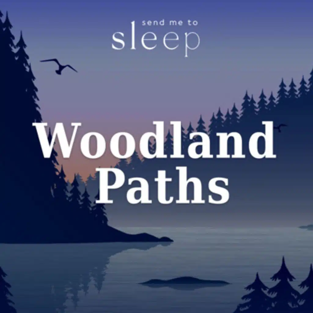 Woodland Paths: South Rain & Spring Dawn