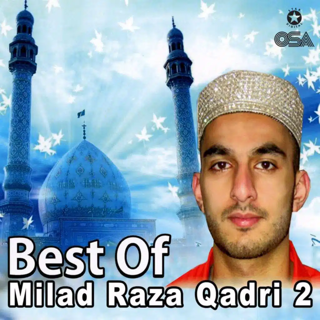 Best Of Milad Raza Qadri, Vol. 2