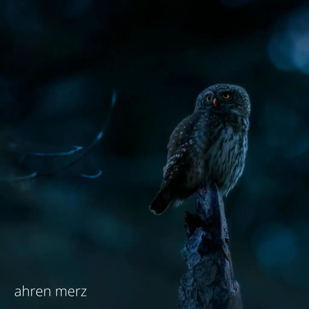 Ahren Merz