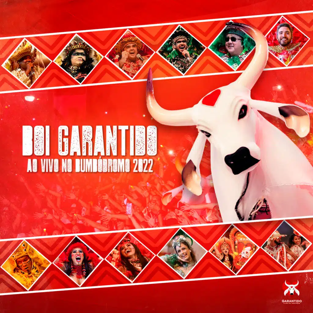 Boi Bumbá Garantido, David Assayag & Márcia Siqueira