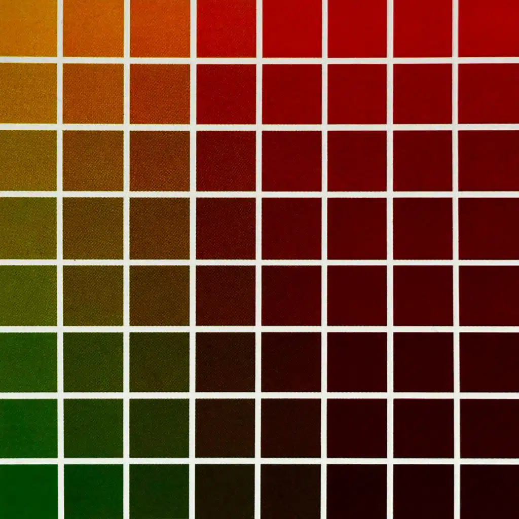 Acephali & Thomas Delisle