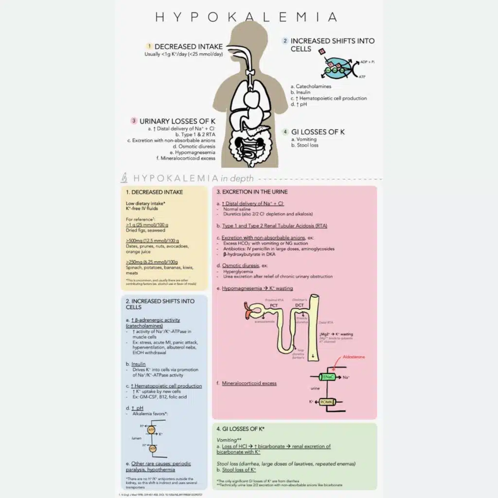 #137 Hypokalemia & Potassium Repletion: 5 Pearls Segment