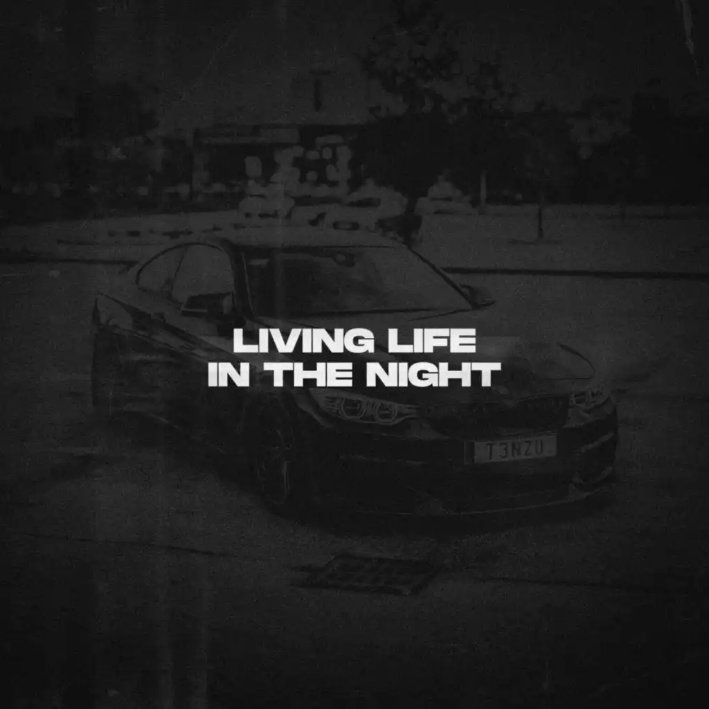 Living Life, In The Night - Slowed