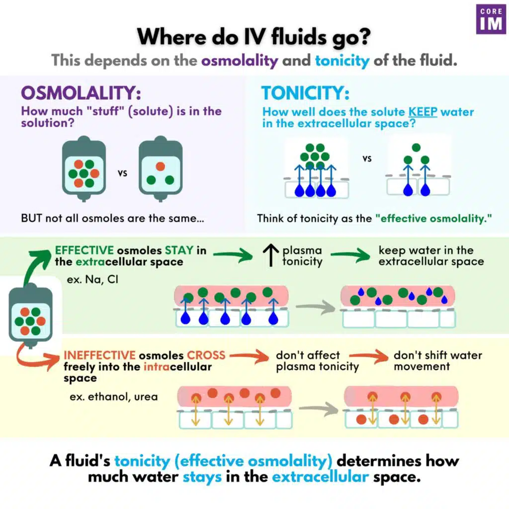#103 Fluids: 5 Pearls Segment
