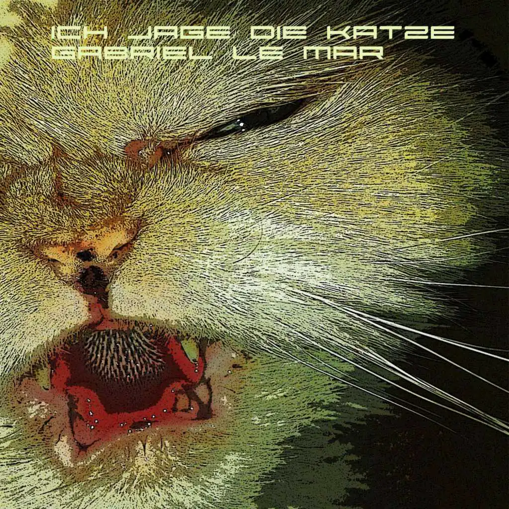 Ich jage die Katze