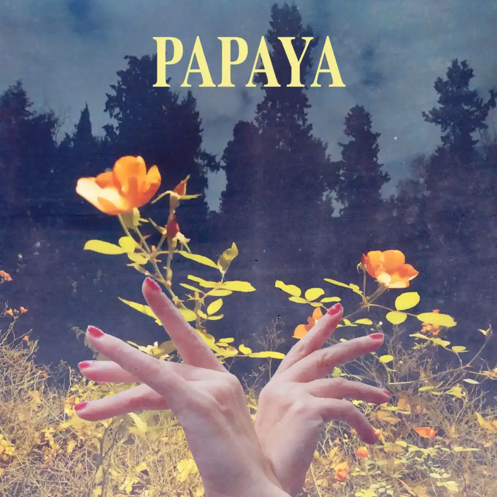 Papaya