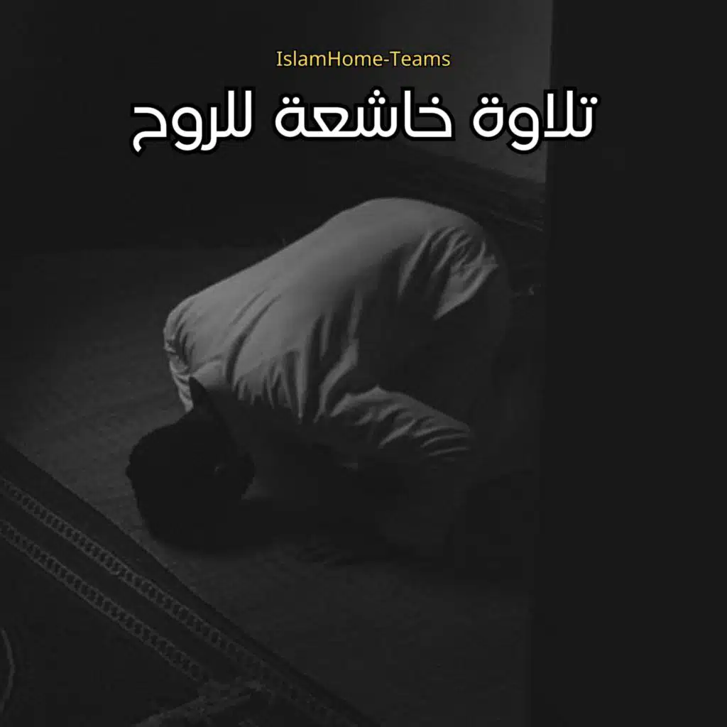 تلاوة هادئة للقلوب