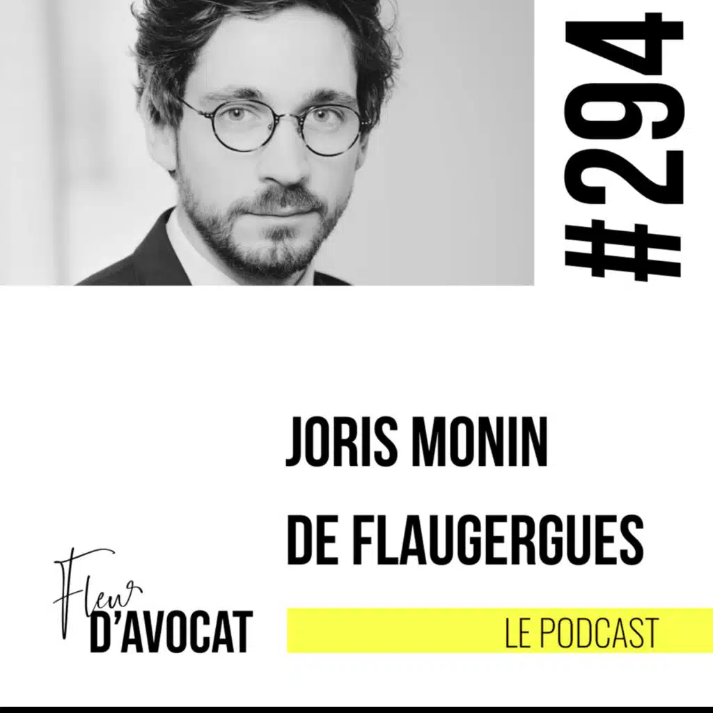 #290 - Joris Monin De Flaugergues : "Dire oui aux opportunités sociales peut transformer une carrière."