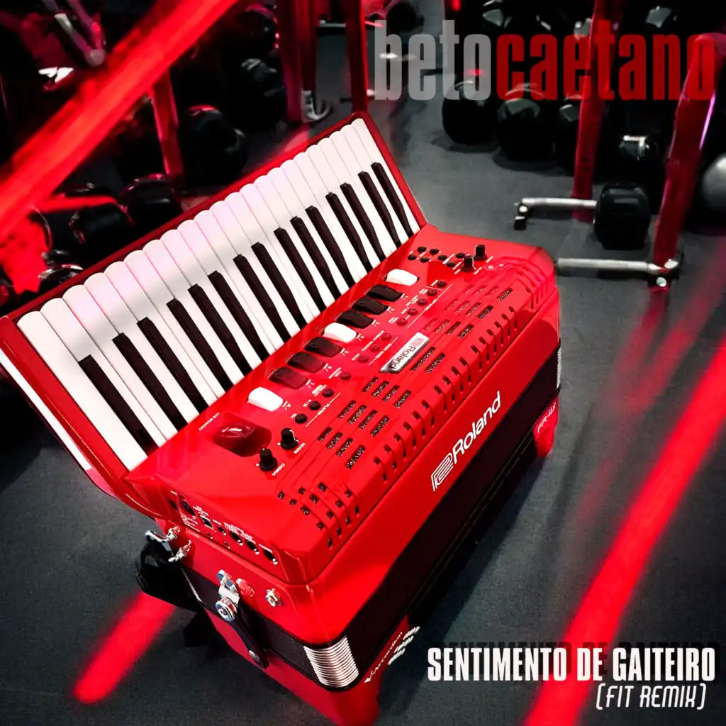 Sentimento de Gaiteiro (Fit Remix)