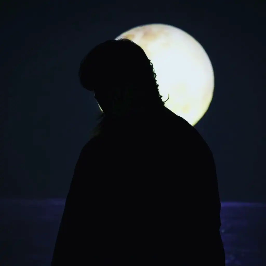 Robin (Demo Version)