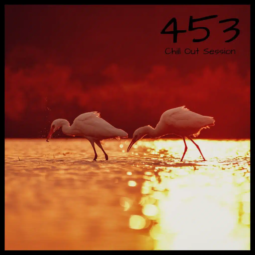 Zoltan Biro - Chill Out Session 453