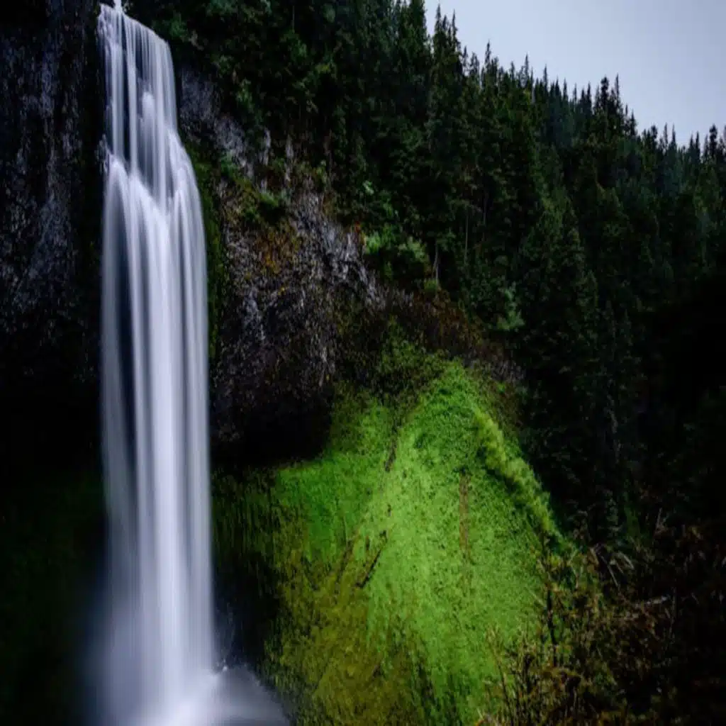 The Remedy for Pride