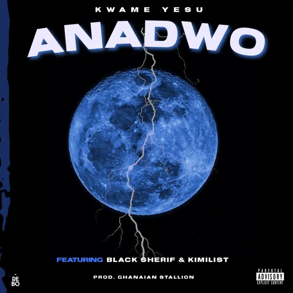 ANADWO (feat. Black Sheriff & Kimilist)