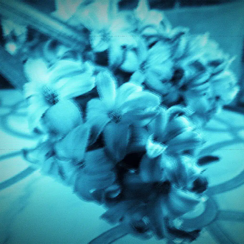 the flower girl (the end of the world version)