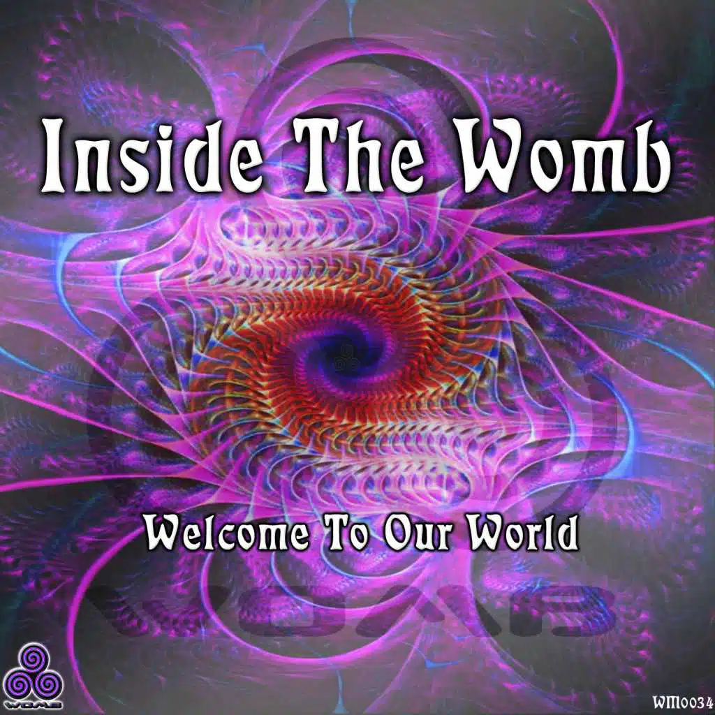 Inside the Womb