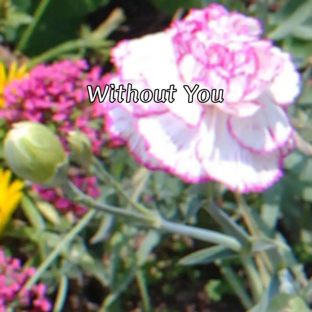 Without You (feat. Karalen)