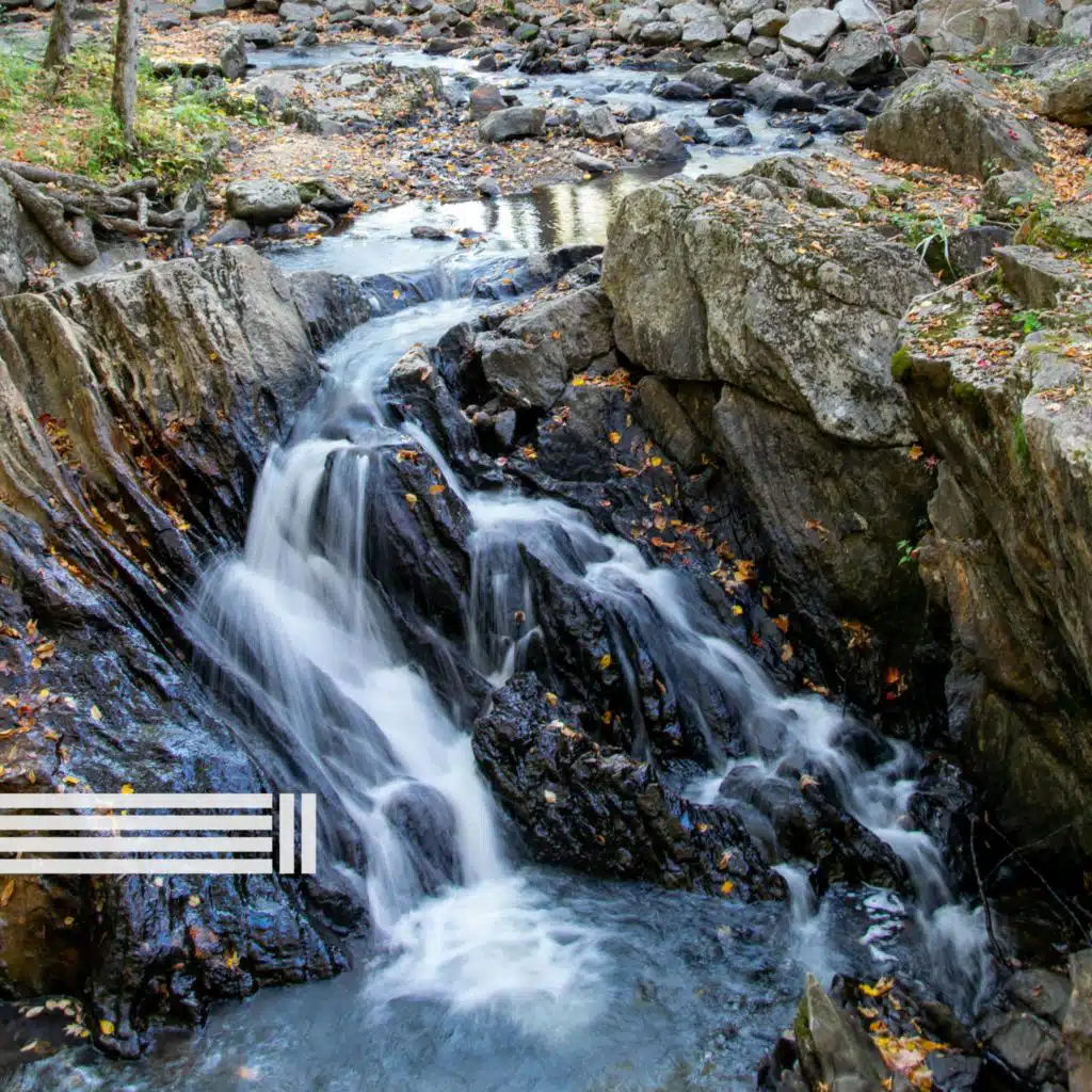 Sons da Cachoeira, Sons de Água & Zona de Sons da Natureza