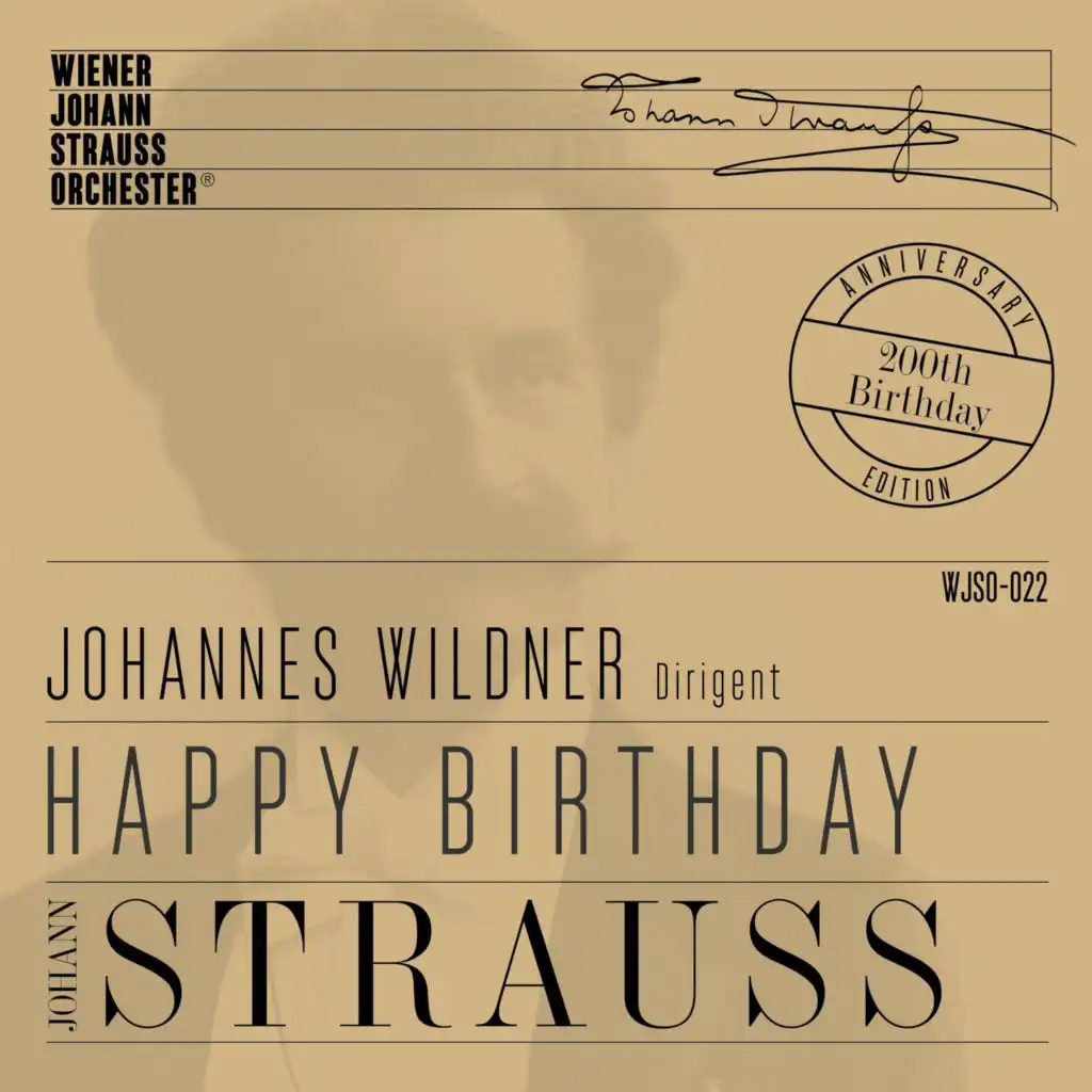 Wiener Johann Strauss Orchester