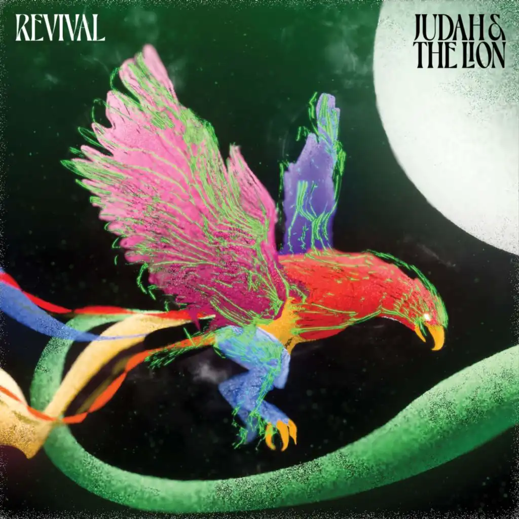 Find Another Reason Why