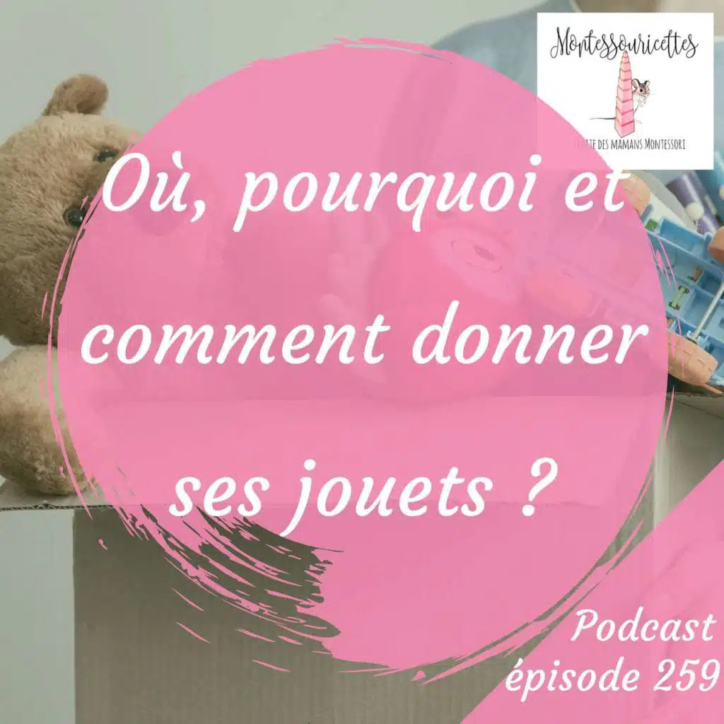 259. Où, pourquoi et comment donner ses jouets ?