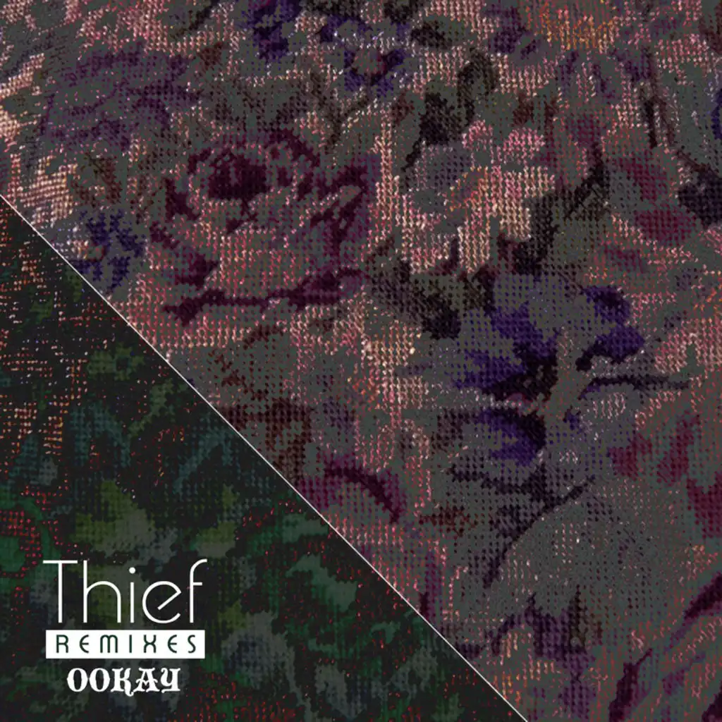 Thief (Remixes)