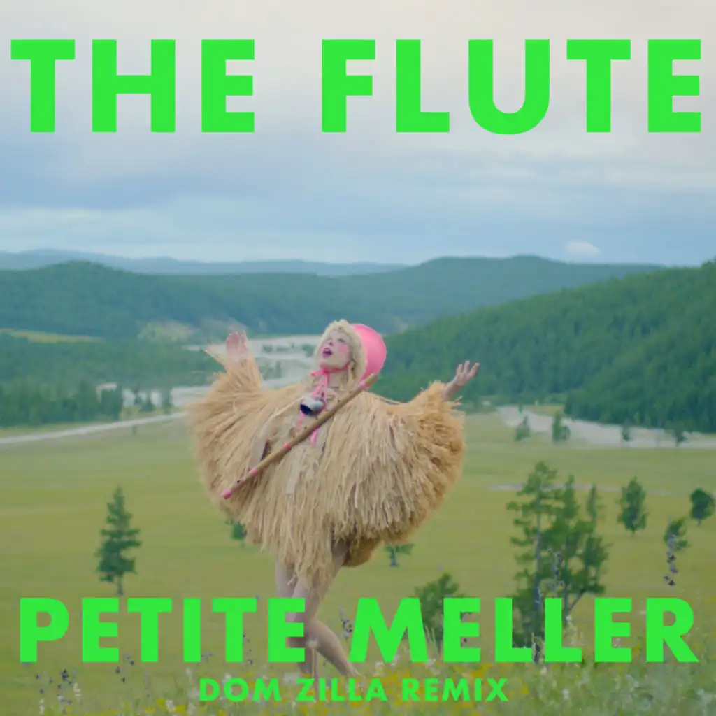 The Flute (Dom Zilla Remix)