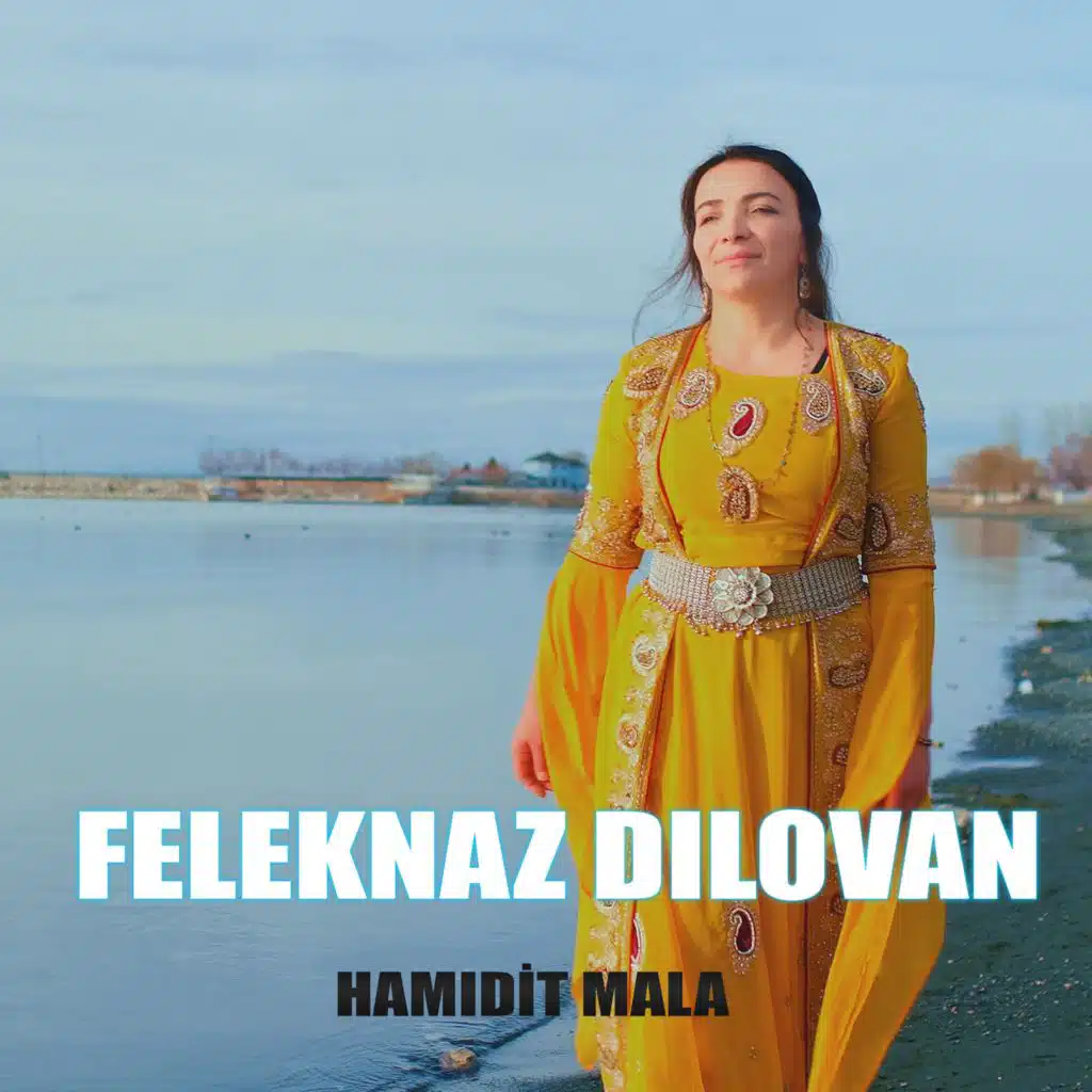 Feleknaz Dilovan