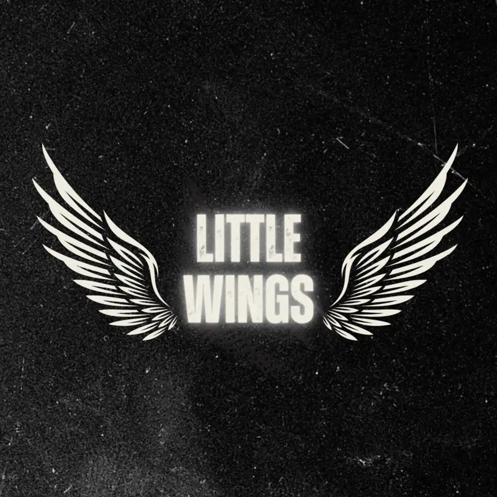 Little Wings