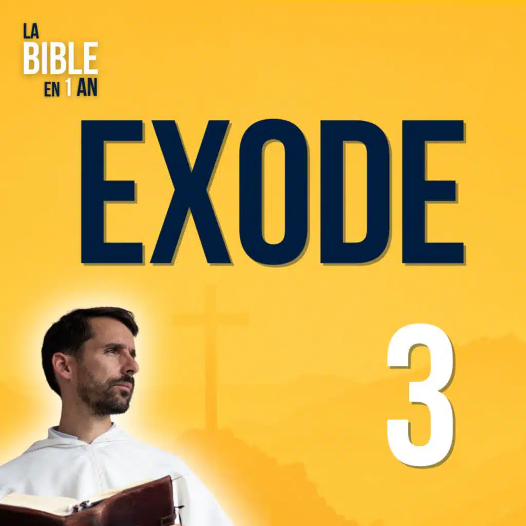 J27 - L’appel du buisson ardent - soir ☾