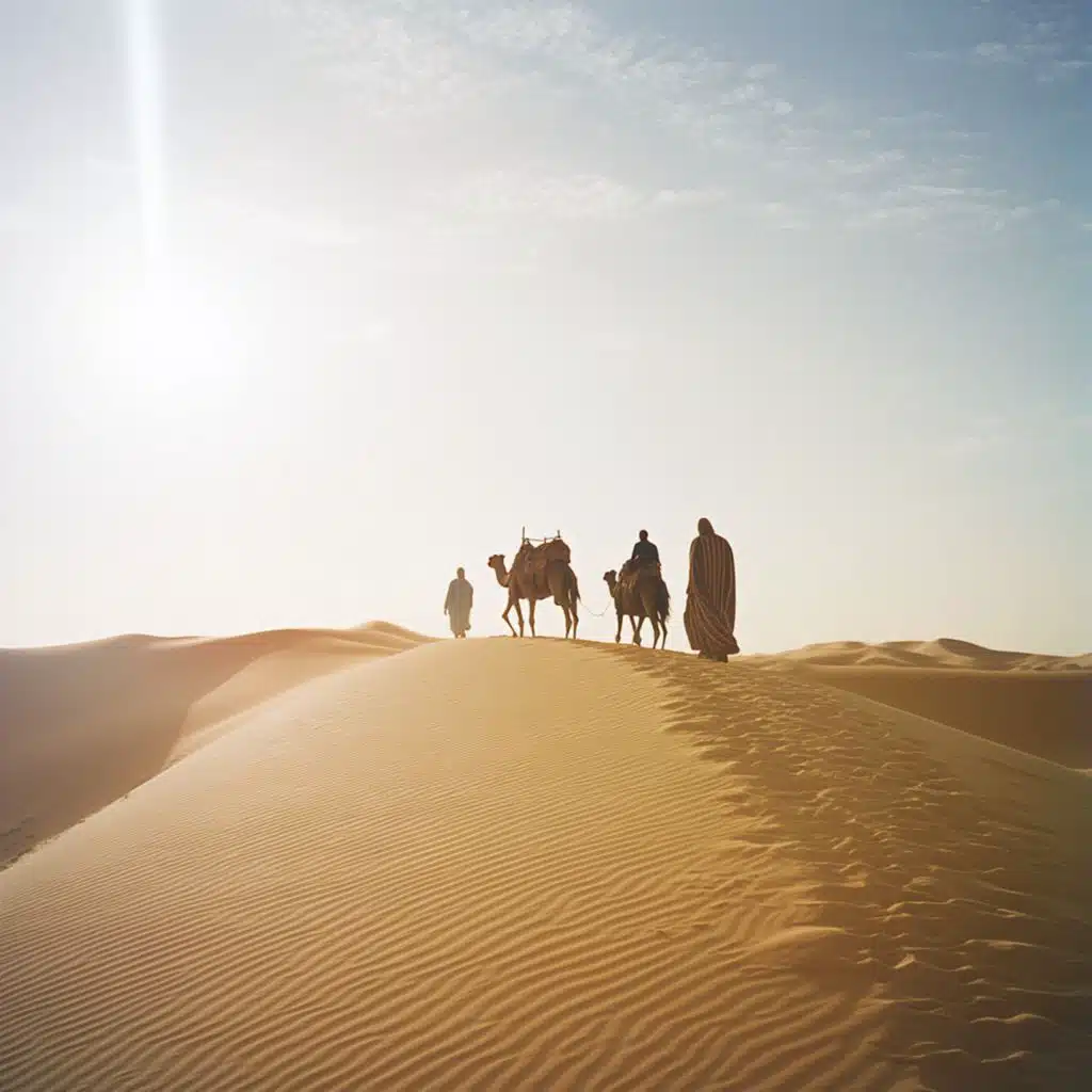 Meditation -Silk Road The Golden Caravan -