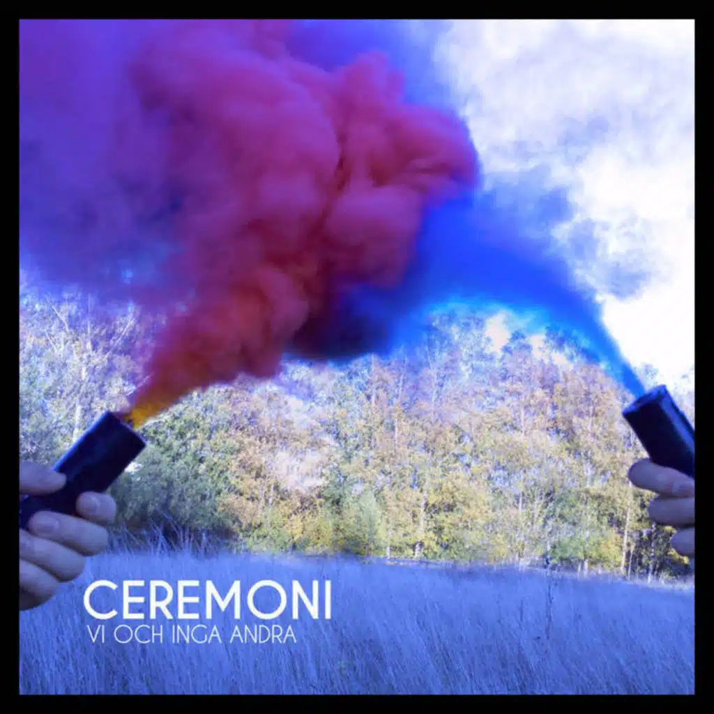 Vi Och Inga Andra (Deluxe)