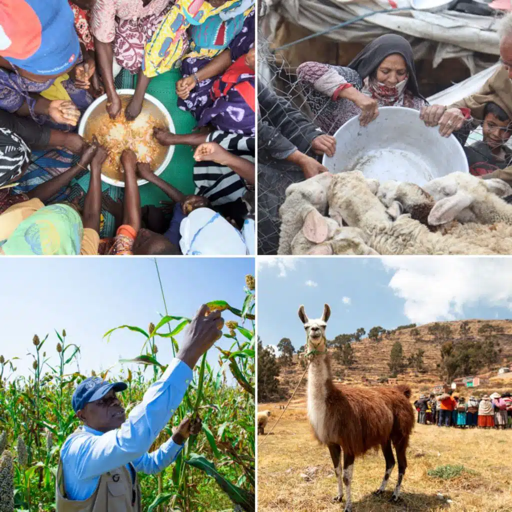 FAO 2024 Year-end podcast