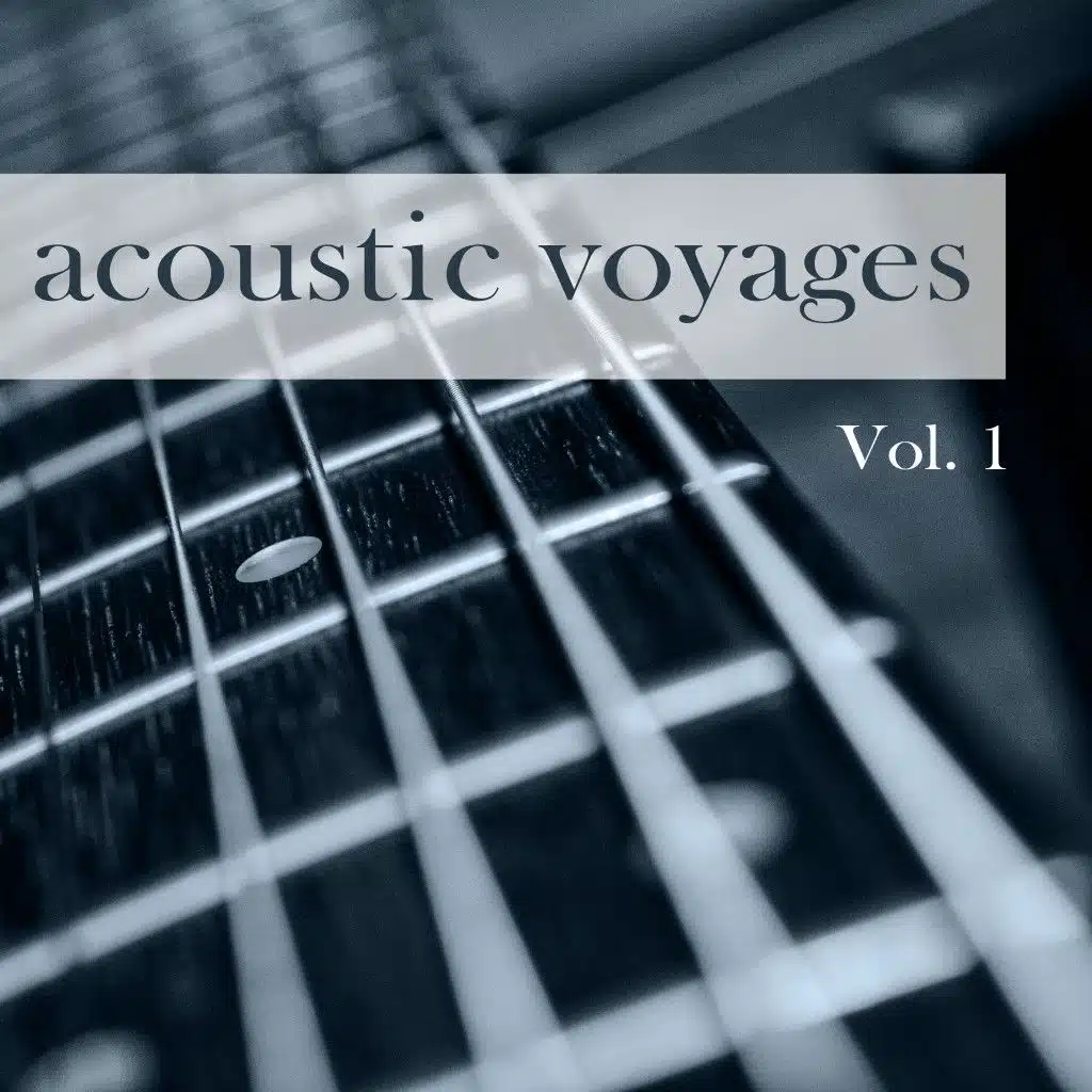 Acoustic Voyages, Vol. 1