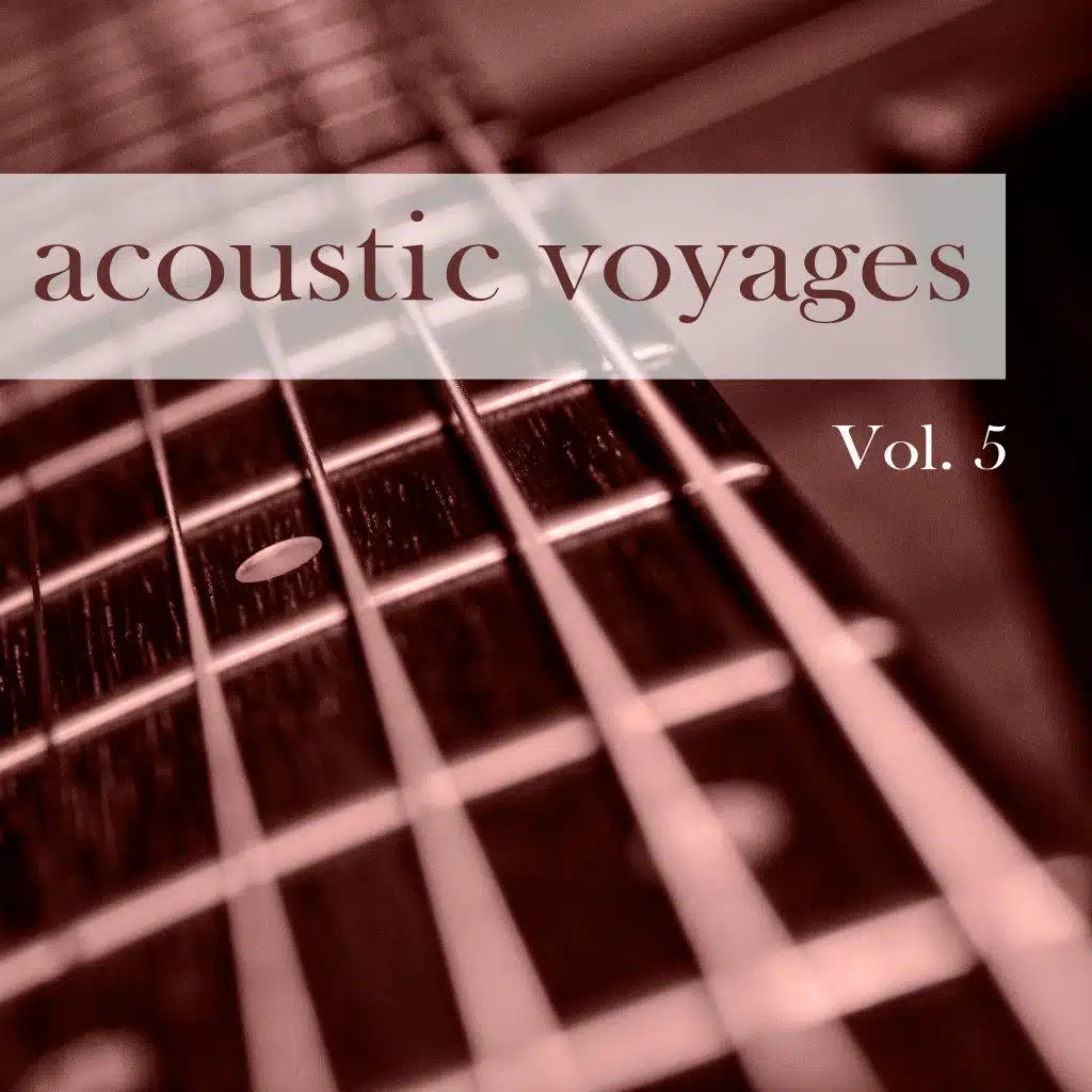 Acoustic Voyages, Vol. 5