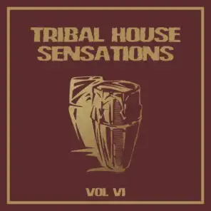 Tribal House Sensations, Vol. 6