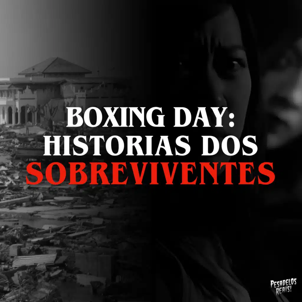 Boxing Day: Os sobreviventes do Natal de 2004