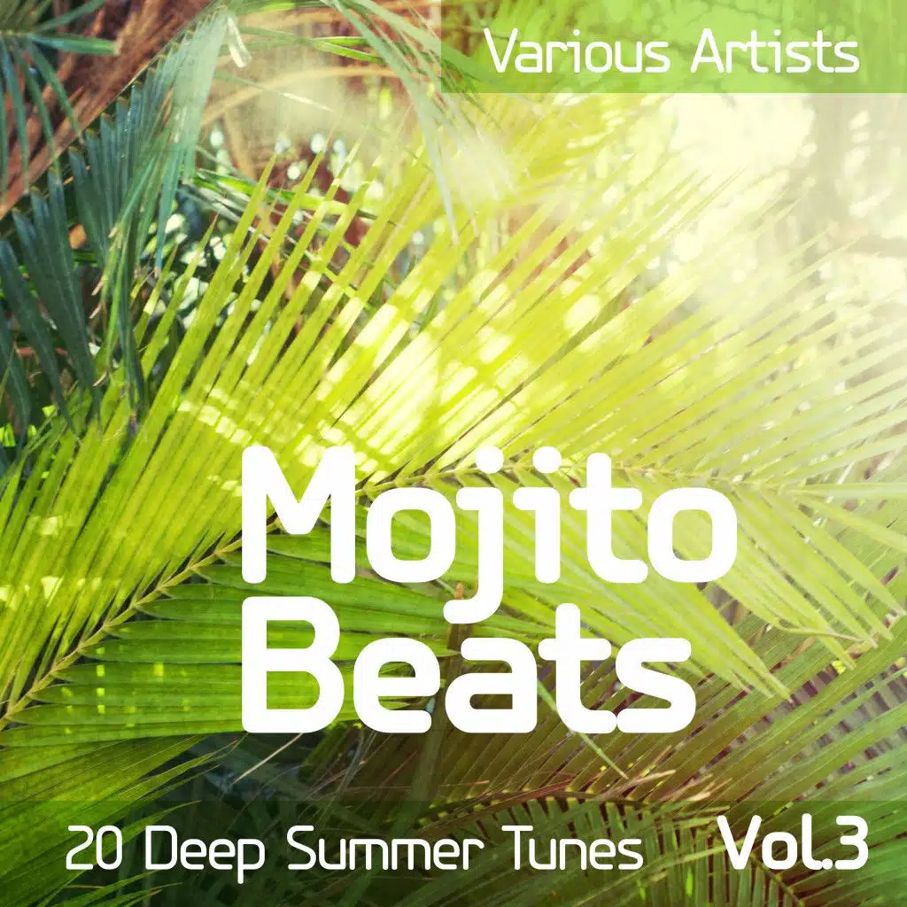 Fly Now (Original Mix)