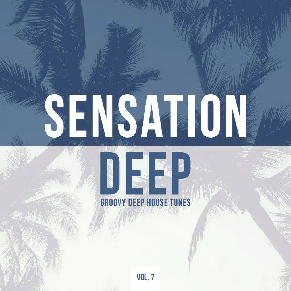 Deep Flight (Original Mix)