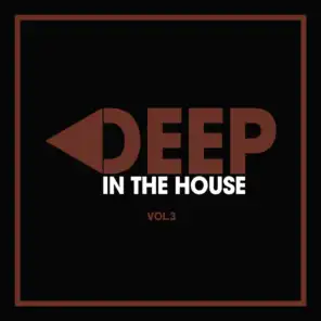 Deep in the House, Vol. 3