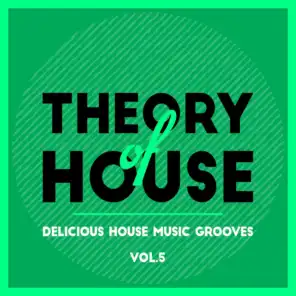 Theory of House (Delicious House Music Grooves), Vol. 5