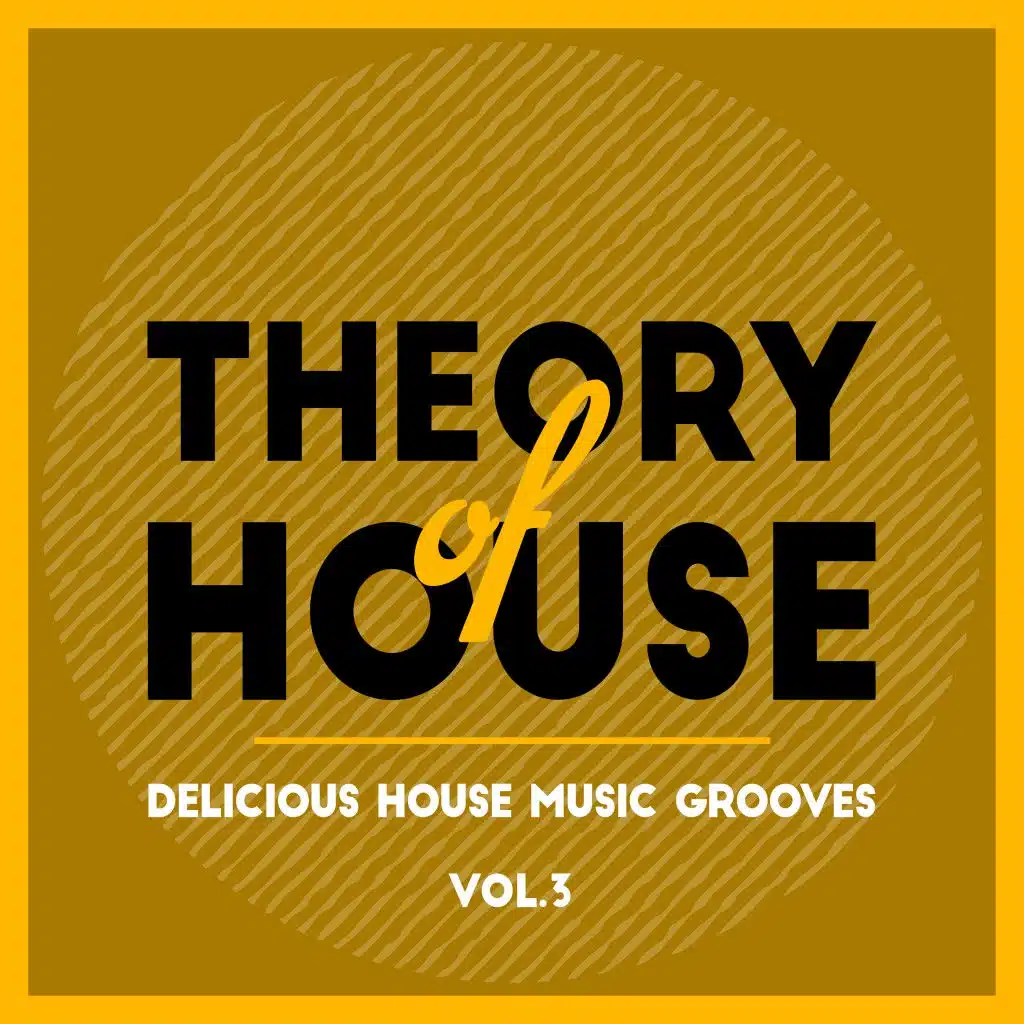 Theory of House (Delicious House Music Grooves), Vol. 3