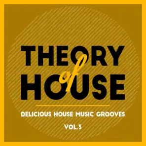 Theory of House (Delicious House Music Grooves), Vol. 3