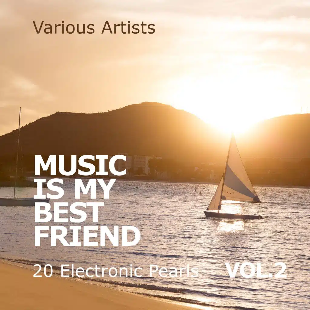 Music Is My Best Friend (20 Electronic Pearls), Vol. 2
