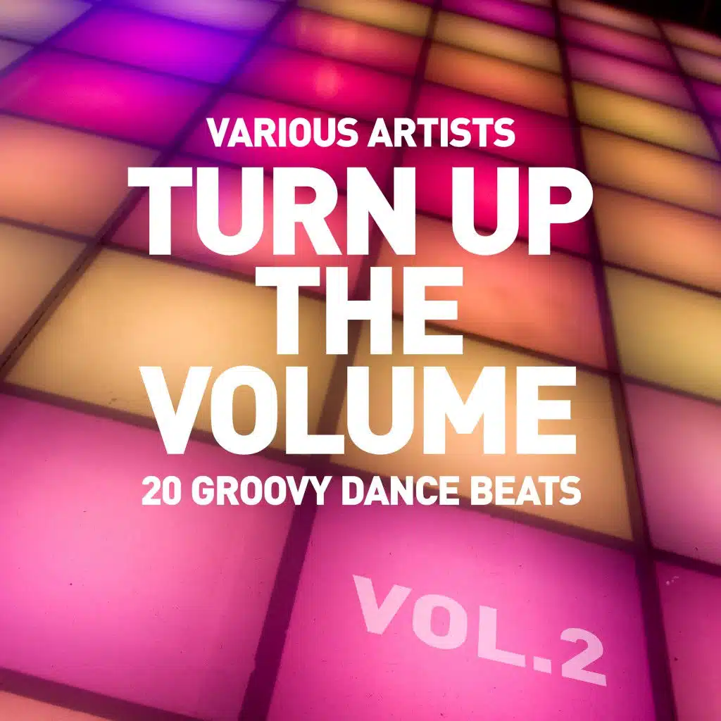 Turn up the Volume (20 Groovy Dance Beats), Vol. 2